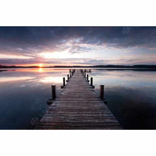 картинка Фреска Rebel Walls, коллекция No 1 Panorama, арт. R10161 Швеция от LIVING