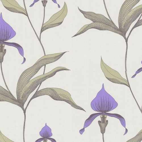 Флизелиновые обои Cole & Son, коллекция Contemporary Selection, арт. 66/4024, Великобритания