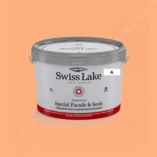 картинка Краска Swiss Lake Special Faсade & Socle цвет SPICED ORANGE №1174 от LIVING