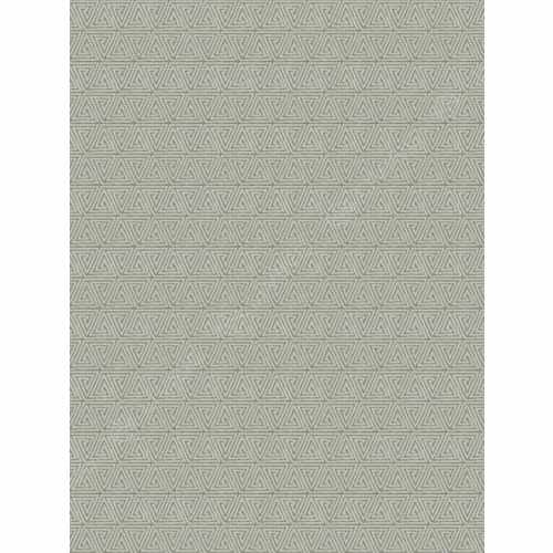 Ткань Fabricut, коллекция: Chromatics Vol. XXVI (4 Books) Ecru, арт. Triveni/Silver, Индия