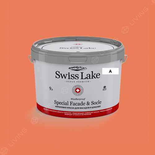 картинка Краска Swiss Lake Special Faсade & Socle цвет Carrot juice №1491 от LIVING