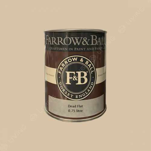 картинка Краска Farrow&Ball Dead Flat цвет Savage Ground №213 от LIVING