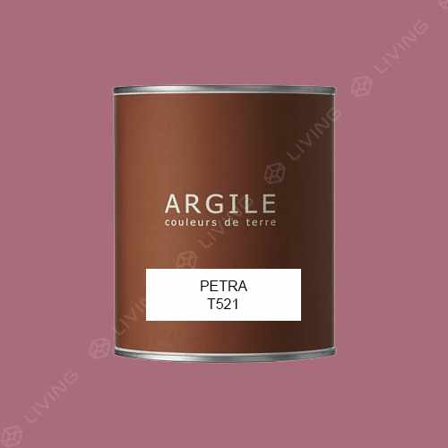 картинка Краска Argile Mat Veloute цвет PETRA T521 от LIVING