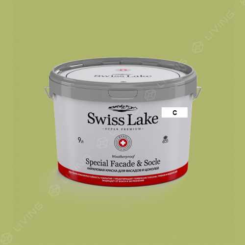 картинка Краска Swiss Lake Special Faсade & Socle цвет oil green №2530 от LIVING