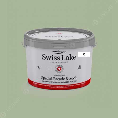 картинка Краска Swiss Lake Special Faсade & Socle цвет Fava Bean №2684 от LIVING