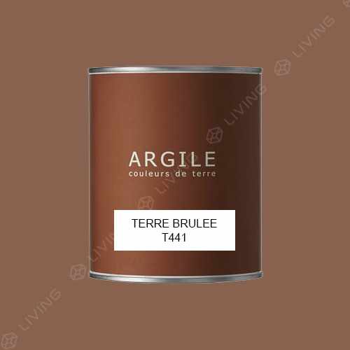 картинка Краска Argile Mat Veloute цвет TERRE BRULEE T441 от LIVING