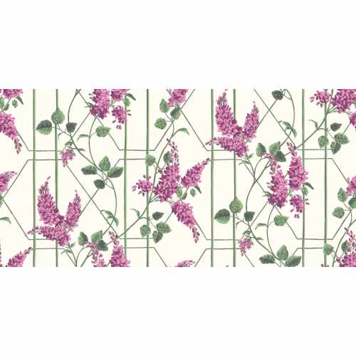 картинка Флизелиновые обои Cole & Son, коллекция Botanical Botanica, арт. 115/5013, Великобритания от LIVING
