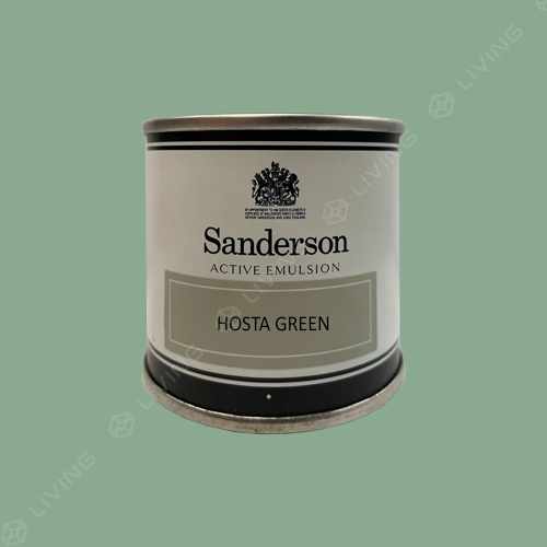 картинка Краска Sanderson Active Emulsion цвет HOSTA GREEN от LIVING