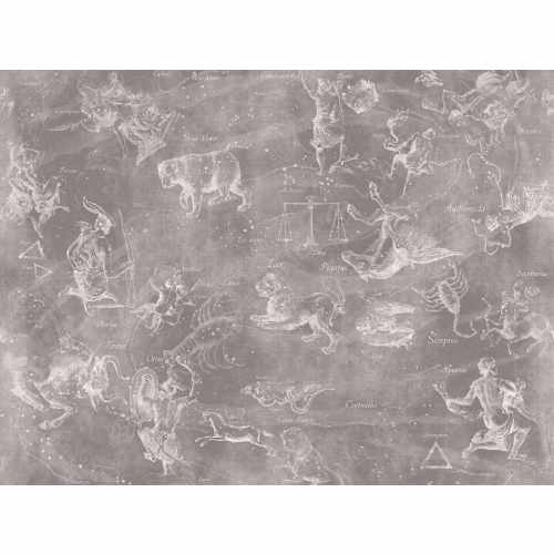 Фреска Affresco, коллекция Цветариум, арт. Uranographia Color 4 Россия