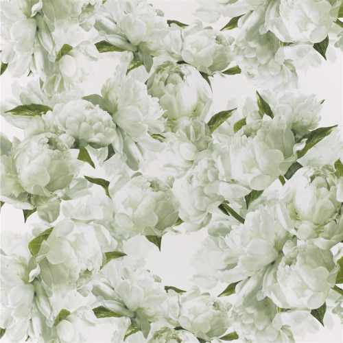 Обои Designers Guild, коллекция Foscari Fresco with paint Litho, арт. PDG1094-03, Великобритания