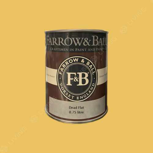 картинка Краска Farrow&Ball Dead Flat цвет Babouche №223 от LIVING