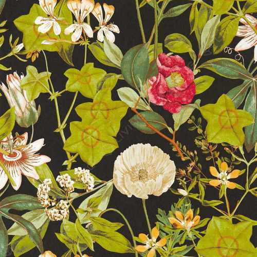 картинка Обои Clarke & Clarke, коллекция Exotica 2 Wallpaper, арт. W0143/04, Великобритания от LIVING