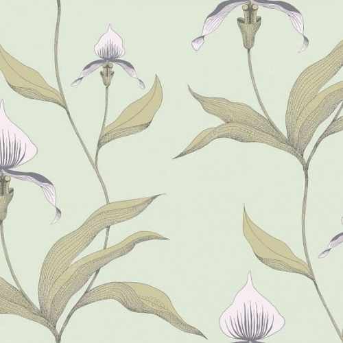 Флизелиновые обои Cole & Son, коллекция Contemporary Selection, арт. 66/4028, Великобритания