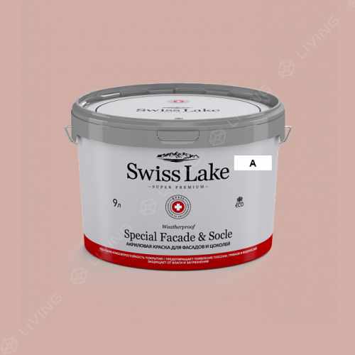 картинка Краска Swiss Lake Special Faсade & Socle цвет body contact №1606 от LIVING
