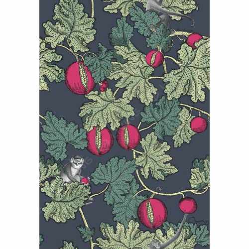 картинка Обои Cole & Son, коллекция Fornasetti III, арт. 114/1001, Великобритания от LIVING
