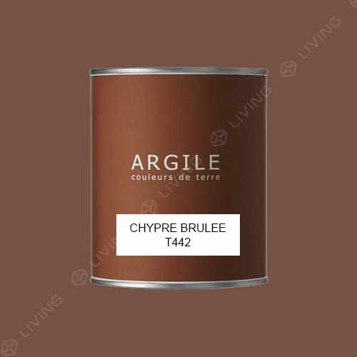 картинка Краска Argile Mat Veloute цвет CHYPRE BRULEE T442 от LIVING