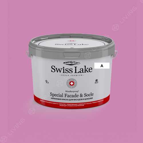 картинка Краска Swiss Lake Special Faсade & Socle цвет GOTHIC AMETHYST №1684 от LIVING
