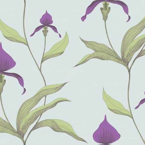 Флизелиновые обои Cole & Son, коллекция Contemporary Selection, арт. 66/4027, Великобритания