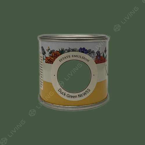 картинка Краска Farrow&Ball Estate Emulsion цвет Duck Green №W55 от LIVING