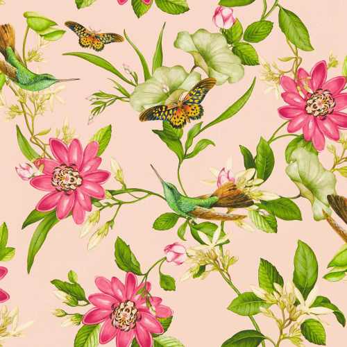 картинка Обои Clarke & Clarke, коллекция Botanical Wonders Wallpaper, арт. W0132/01, Великобритания от LIVING