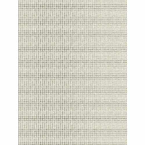 Ткань Fabricut, коллекция: Natural Nuances (5 Books) Parchment, арт. Speaker Box/Linen, Индия