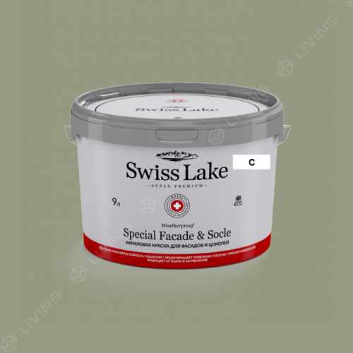 картинка Краска Swiss Lake Special Faсade & Socle цвет green granite №2642 от LIVING