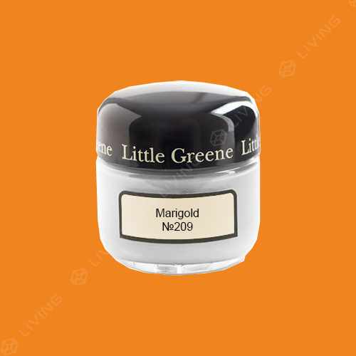 картинка Краска Little Greene Acrylic Matt (Absolute Matt Emulsion) цвет Marigold №209 от LIVING