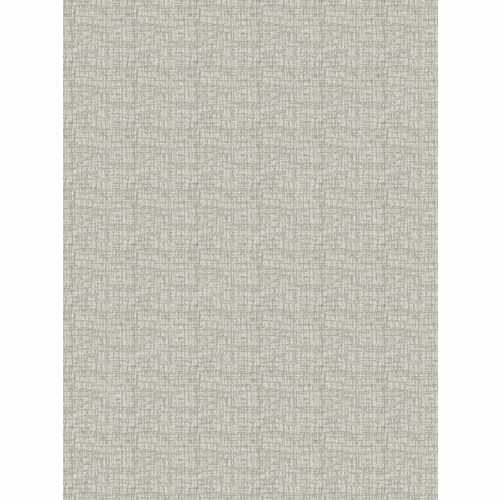 Ткань Fabricut, коллекция: Chromatics Vol. XXVI (4 Books) Ecru, арт. Otani/Silver, Индия
