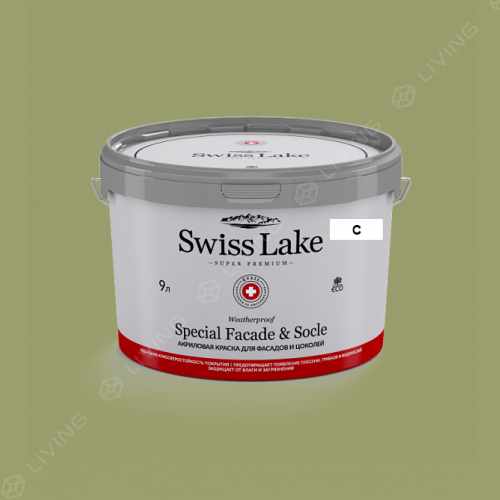 картинка Краска Swiss Lake Special Faсade & Socle цвет cactus №2554 от LIVING