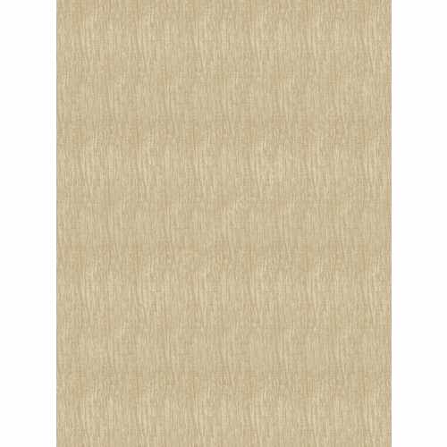 Ткань Trend, коллекция Window By Color (3 Books) Ivory / Harvest, арт. 04663 Tan, Индия
